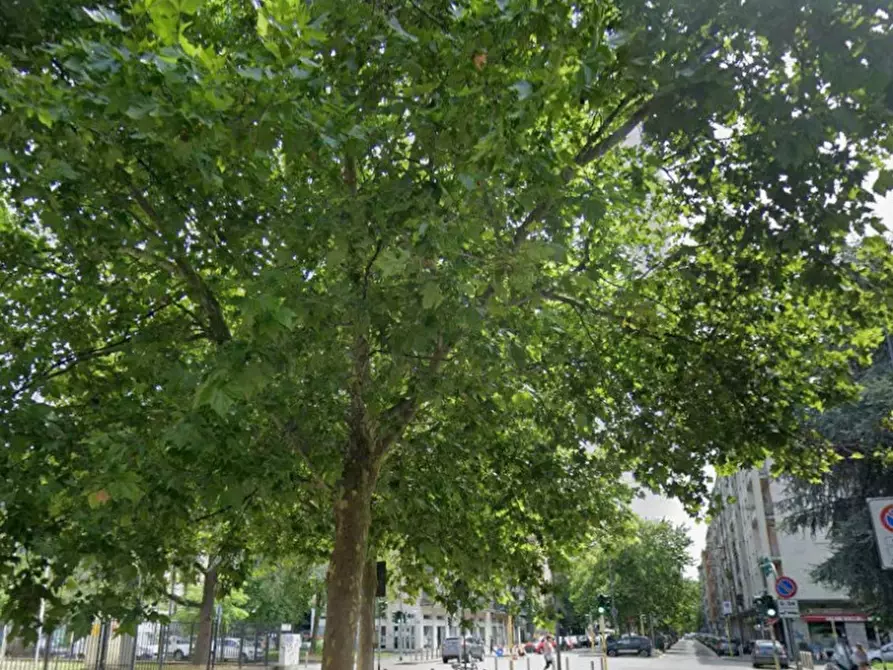 Immagine 2 di Appartamento in vendita  in VIA CAPECELATRO 30 a Milano