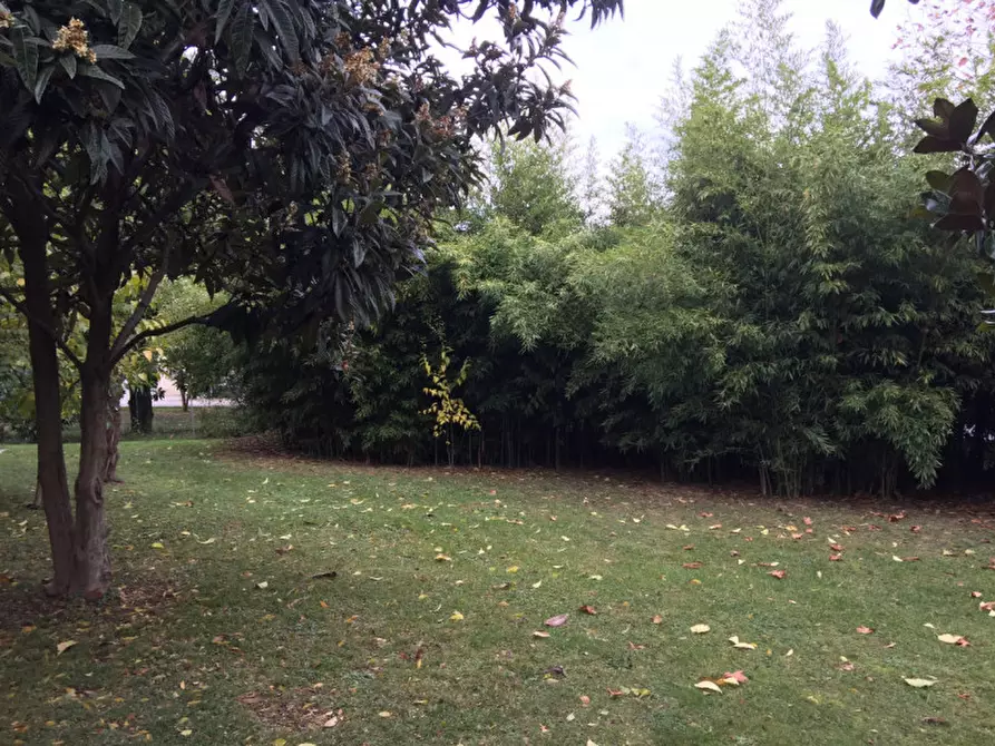 Immagine 7 di Villa in vendita  in Via Salute a Rossano Veneto