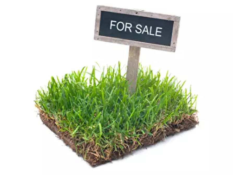 Immagine 1 di Rustico / casale in vendita  a Monselice