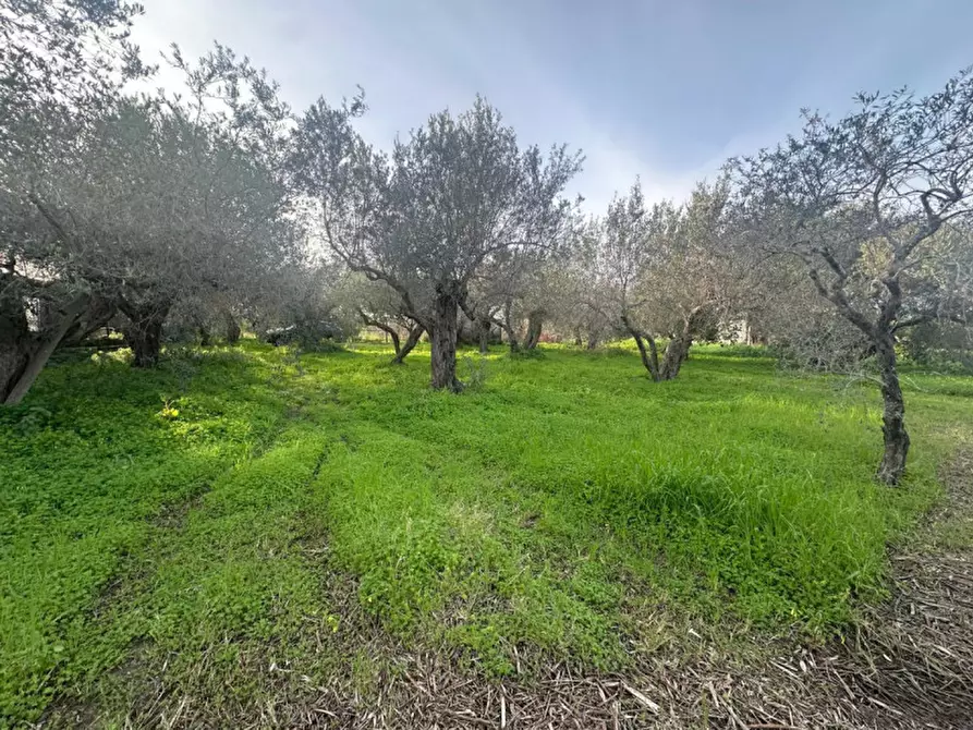 Immagine 3 di Terreno in vendita  in contrada case anna a Pace Del Mela