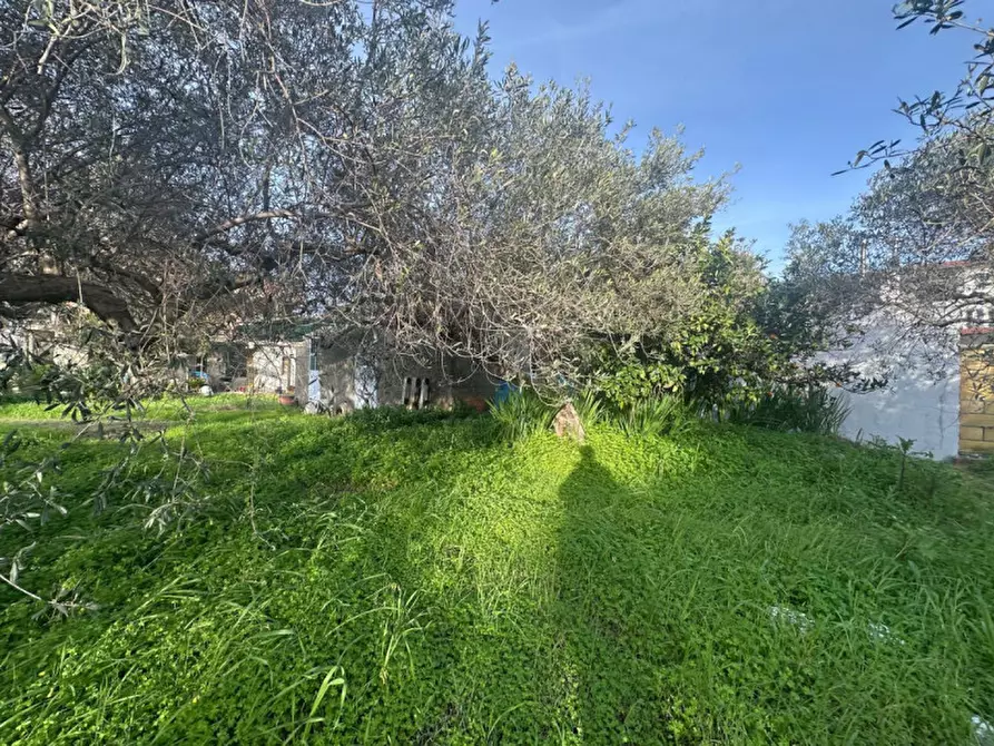 Immagine 4 di Terreno in vendita  in contrada case anna a Pace Del Mela