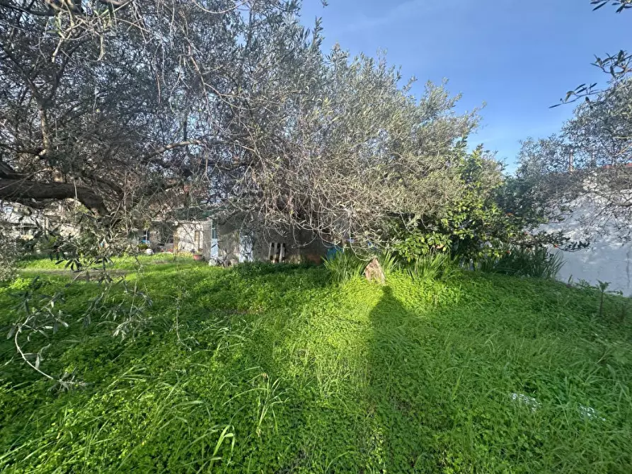 Immagine 5 di Terreno in vendita  in contrada case anna a Pace Del Mela