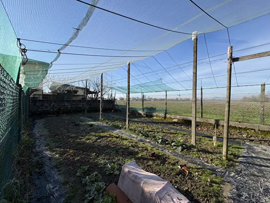 Immagine 5 di Casa indipendente in vendita  in Via Trieste a Polverara