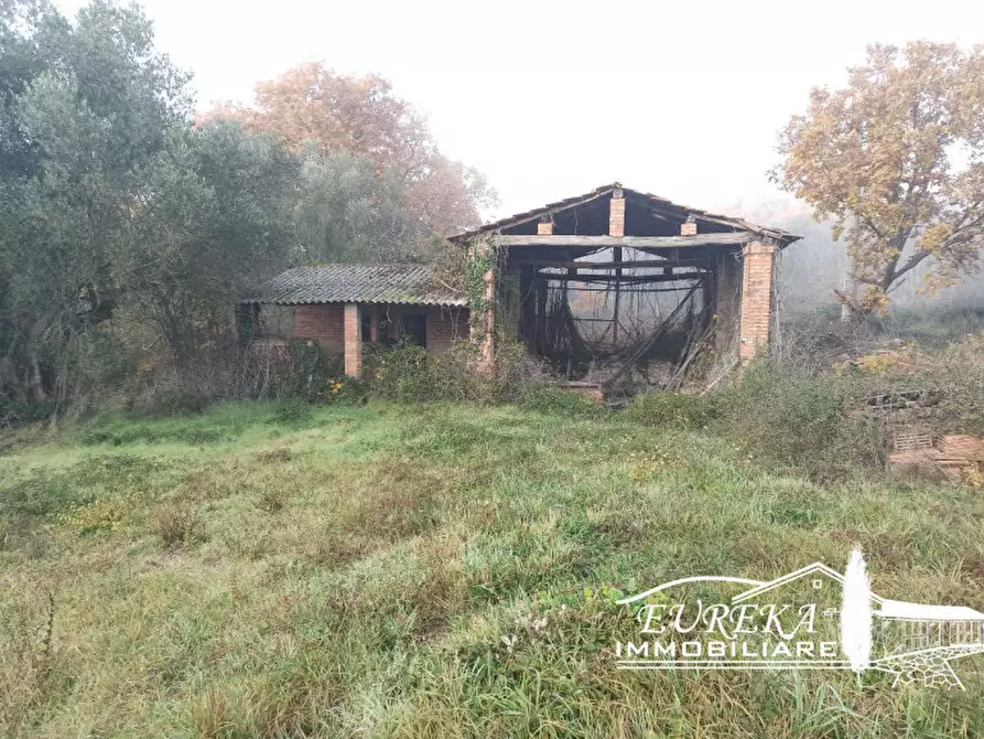 Immagine 4 di Rustico / casale in vendita  in VIA DEI MANDORLI a Panicale