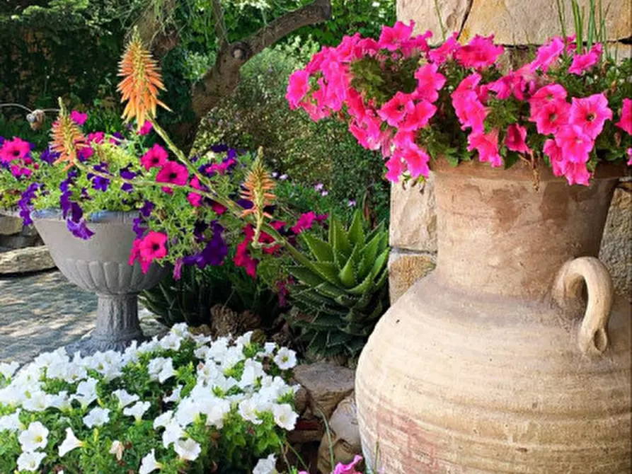 Immagine 72 di Villa in vendita  in Via Tubre 38 a Roma