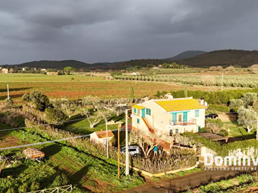 Immagine 11 di Rustico / casale in vendita  in strada del giardino a Capalbio