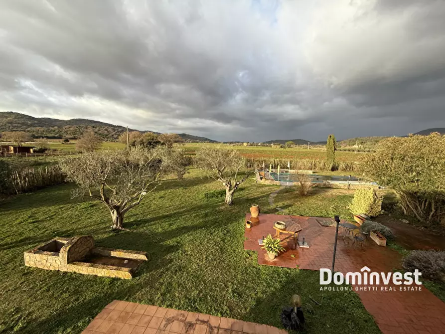 Immagine 23 di Rustico / casale in vendita  in strada del giardino a Capalbio