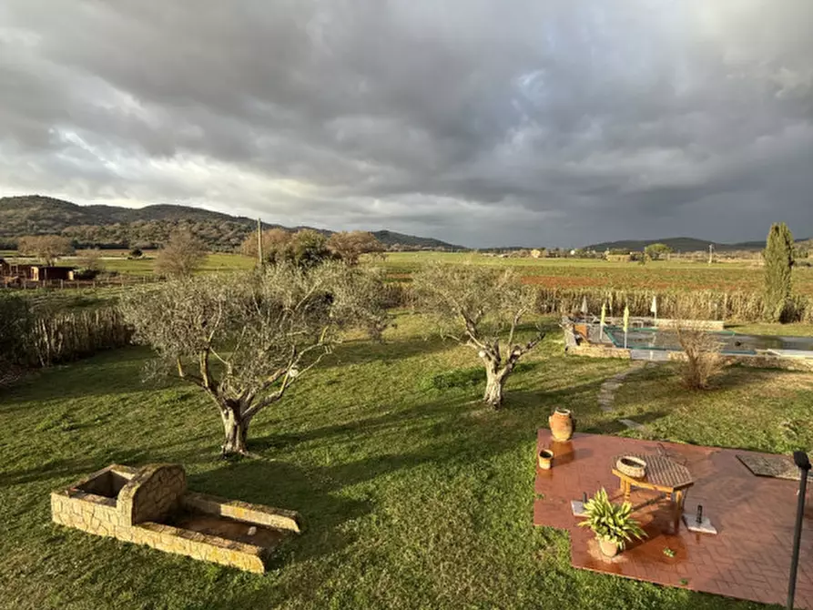 Immagine 24 di Rustico / casale in vendita  in strada del giardino a Capalbio