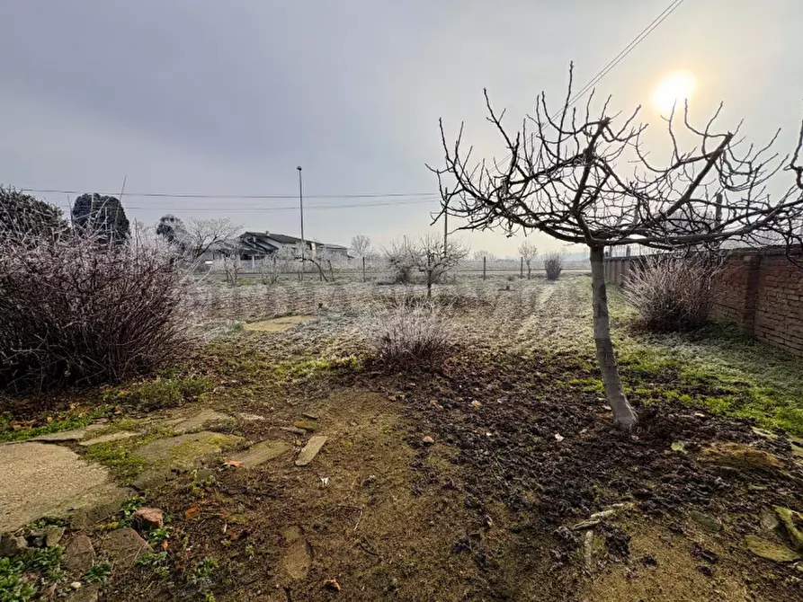 Immagine 7 di Casa indipendente in vendita  in via Roma n° 35 a Gropello Cairoli