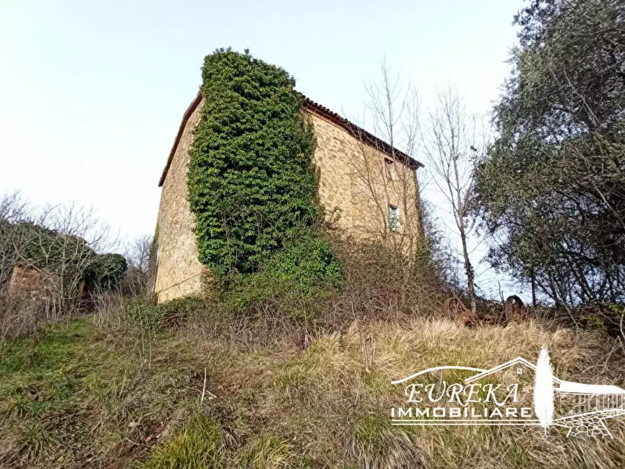 Immagine 11 di Rustico / casale in vendita  in Strada provinciale di Frattaguida a Parrano