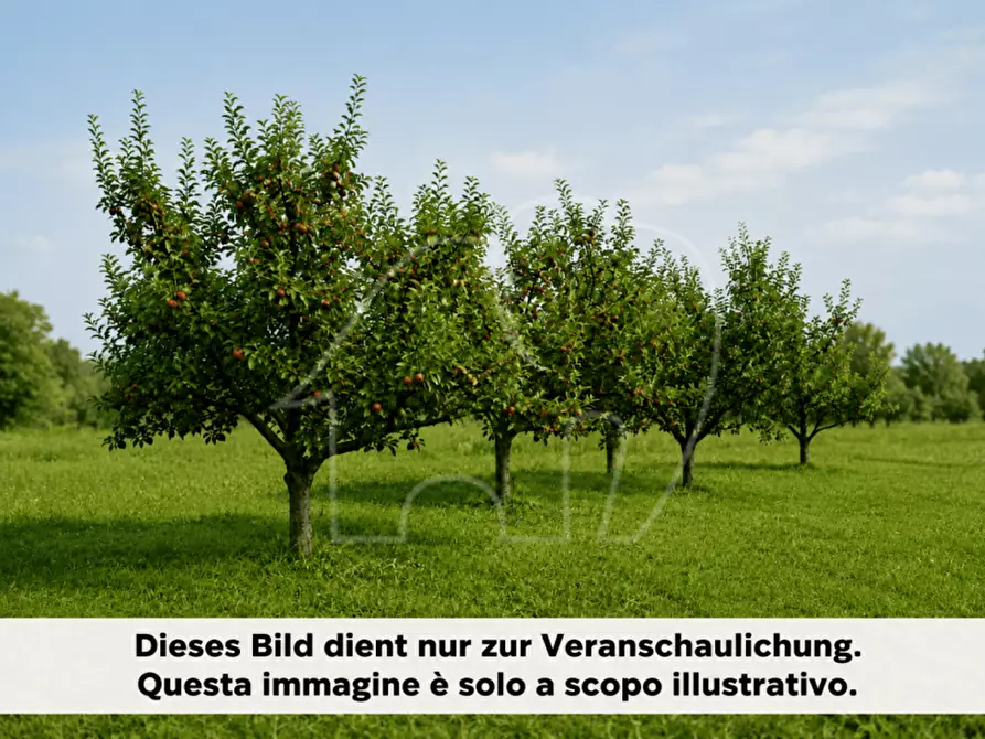 Immagine 2 di Terreno in vendita  a Cortaccia Sulla Strada Del Vino .Kurtatsch A.
