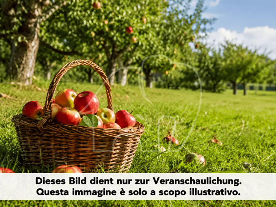 Immagine 3 di Terreno in vendita  a Cortaccia Sulla Strada Del Vino .Kurtatsch A.