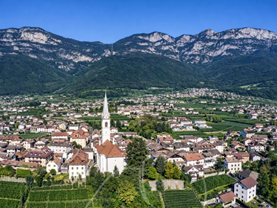 Immagine 4 di Terreno in vendita  a Cortaccia Sulla Strada Del Vino .Kurtatsch A.