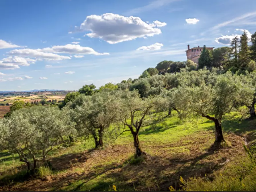 Immagine 2 di Villa in vendita  a Vittorio Veneto