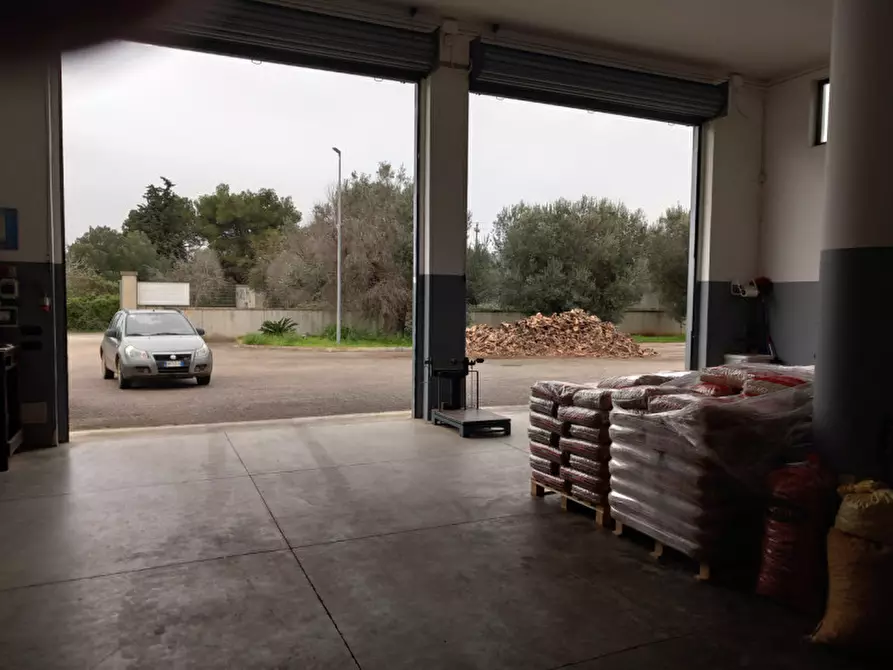 Immagine 11 di Capannone industriale in vendita  in C.da Malavera a Carovigno