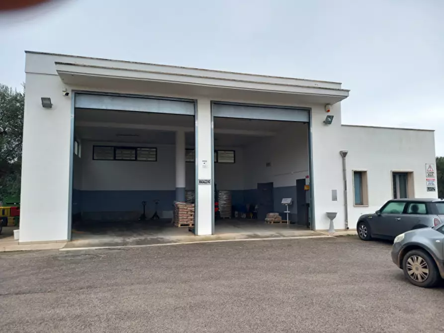 Immagine 13 di Capannone industriale in vendita  in C.da Malavera a Carovigno