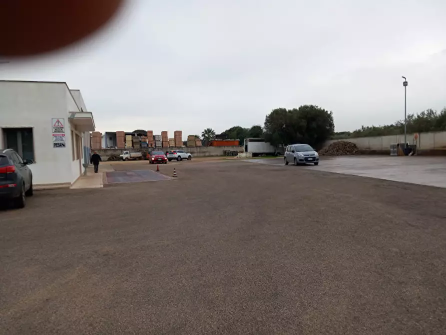 Immagine 15 di Capannone industriale in vendita  in C.da Malavera a Carovigno