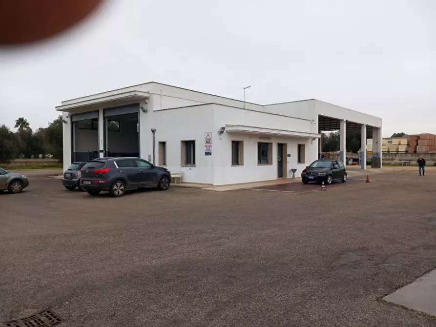 Immagine 16 di Capannone industriale in vendita  in C.da Malavera a Carovigno