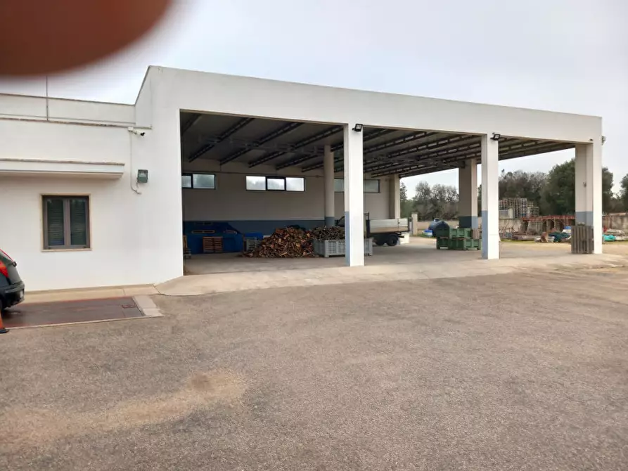 Immagine 17 di Capannone industriale in vendita  in C.da Malavera a Carovigno