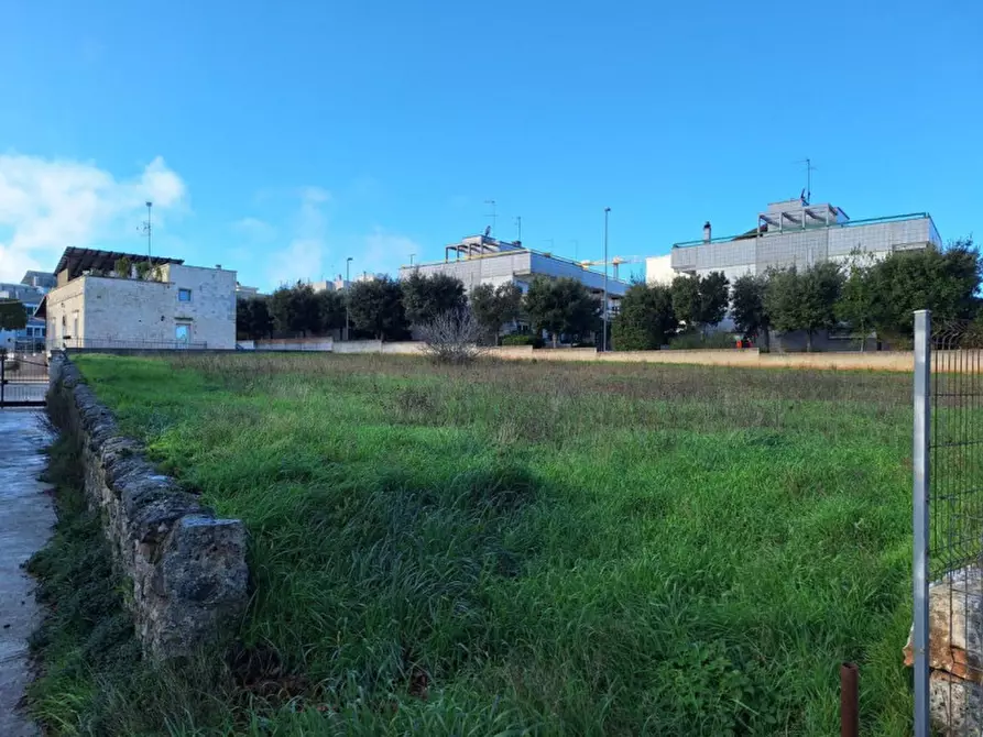 Immagine 5 di Terreno in vendita  in Via Giovanni Guareschi, 1, 70010 Locorotondo BA, Italia a Locorotondo