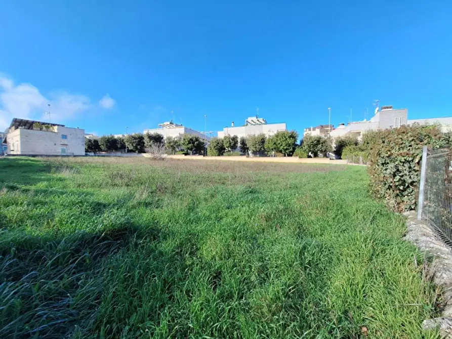Immagine 8 di Terreno in vendita  in Via Giovanni Guareschi, 1, 70010 Locorotondo BA, Italia a Locorotondo