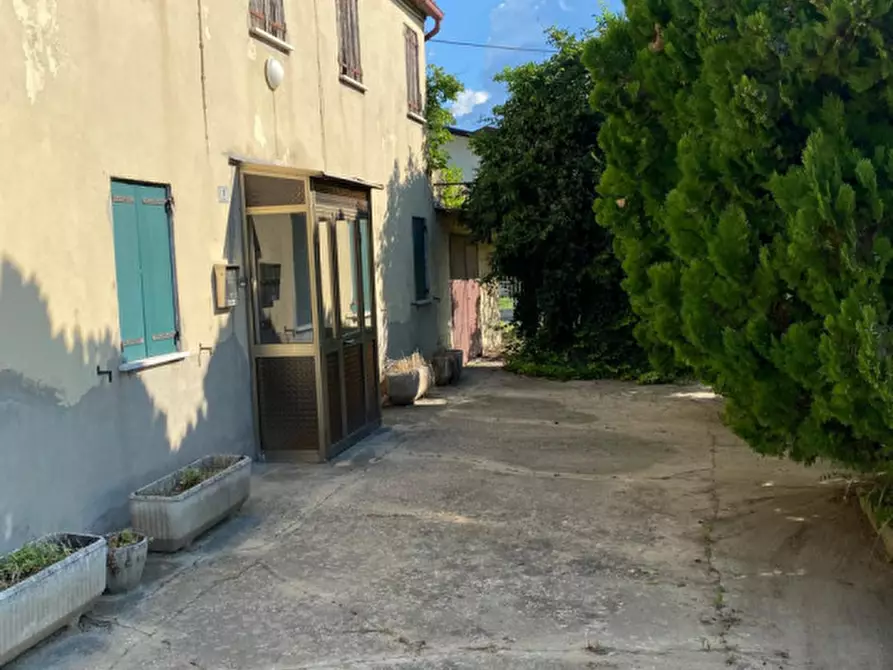 Immagine 4 di Casa indipendente in vendita  in Via Altipiano a Codevigo