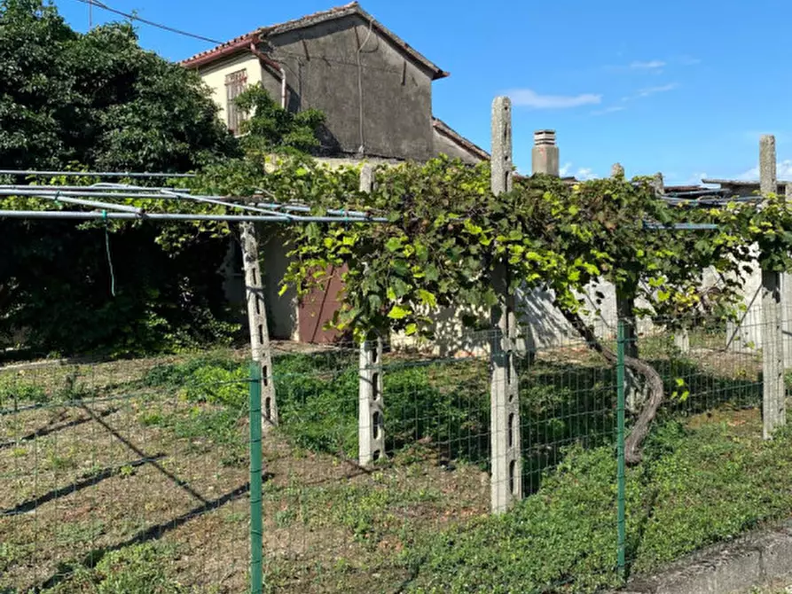 Immagine 12 di Casa indipendente in vendita  in Via Altipiano a Codevigo