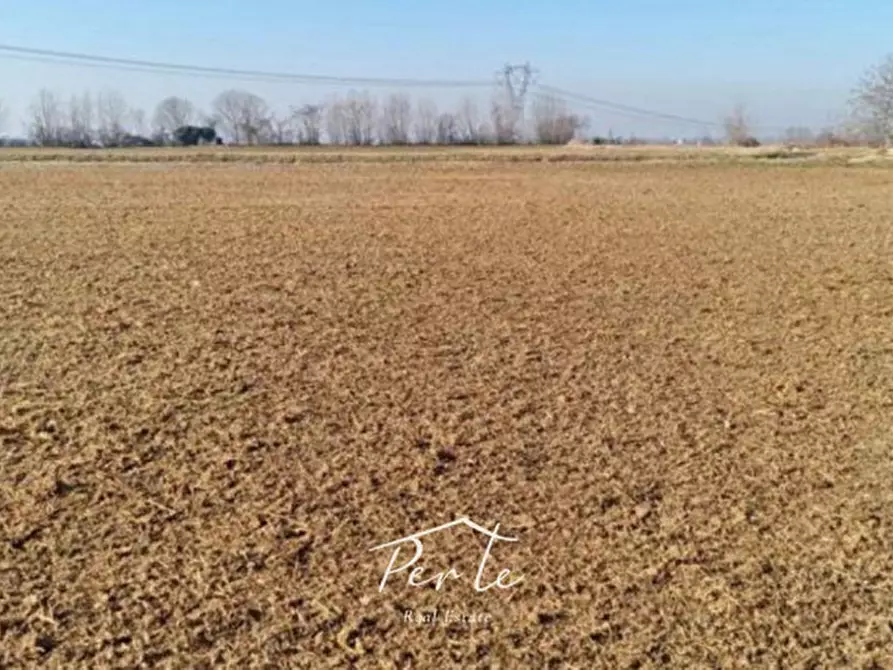 Immagine 2 di Terreno in vendita  in Via Achille Grandi a Castellucchio