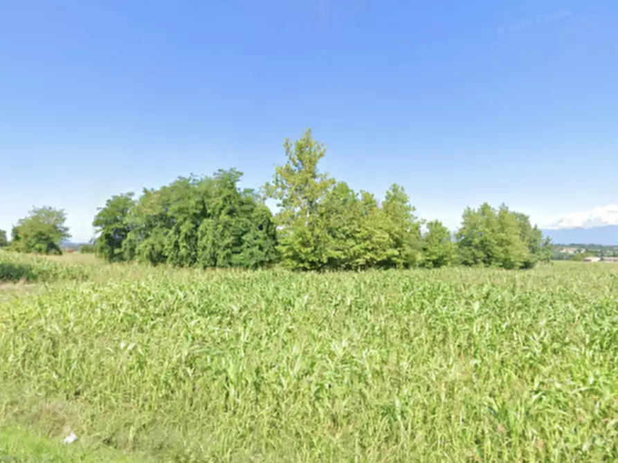 Immagine 4 di Terreno in vendita  in Cavriana strada per Pozzolengo a Cavriana