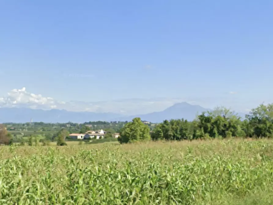 Immagine 5 di Terreno in vendita  in Cavriana strada per Pozzolengo a Cavriana