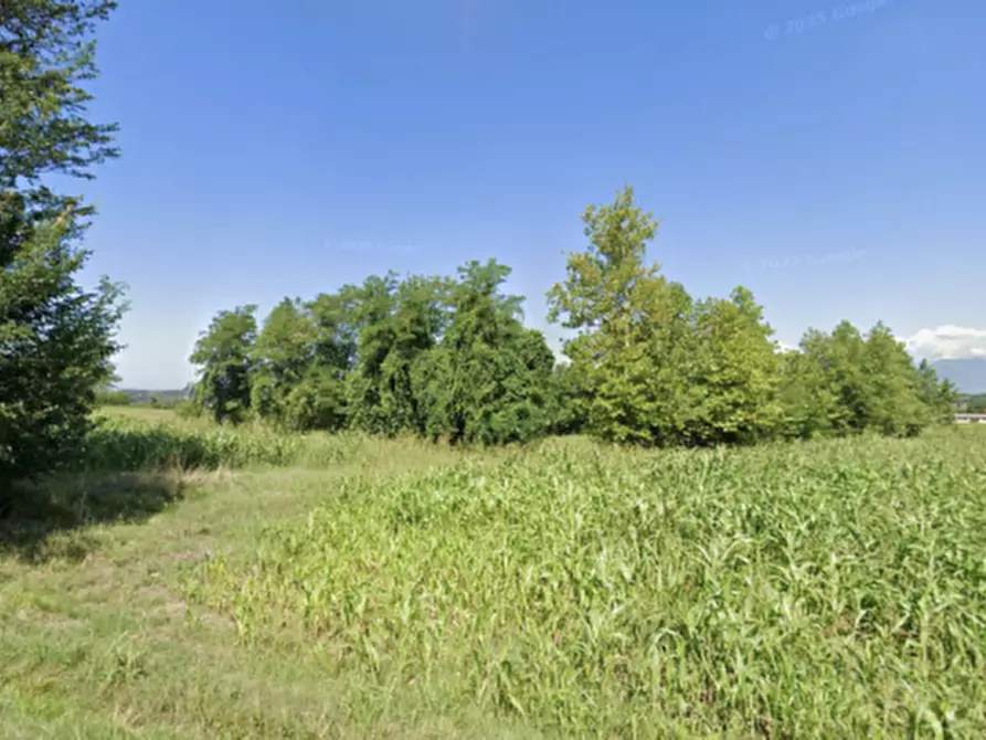 Immagine 6 di Terreno in vendita  in Cavriana strada per Pozzolengo a Cavriana