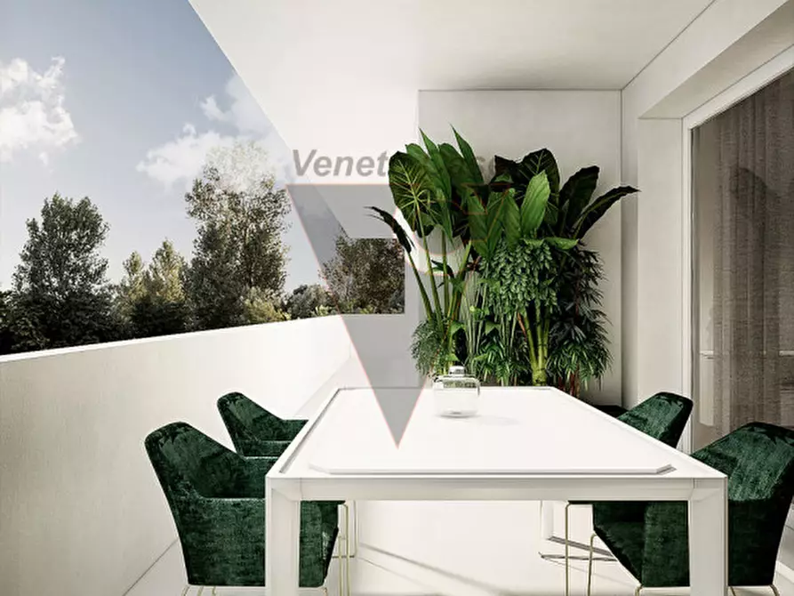 Immagine 3 di Appartamento in vendita  a Camponogara