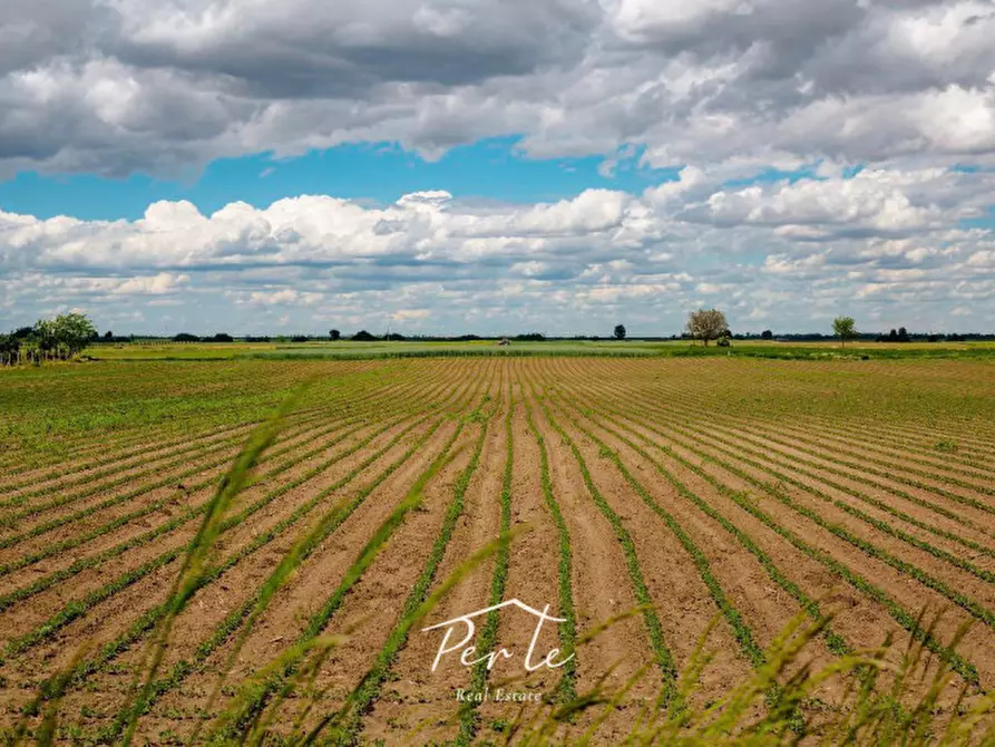 Immagine 1 di Terreno in vendita  in via vittorina gementi a Curtatone