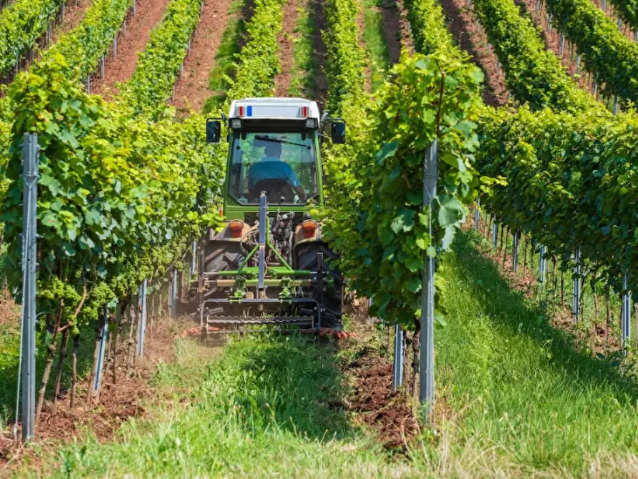 Immagine 7 di Rustico / casale in vendita  in VIA NAPOLEONE III 34 a Solferino