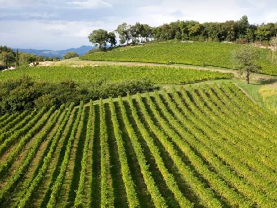 Immagine 10 di Rustico / casale in vendita  in VIA NAPOLEONE III 34 a Solferino