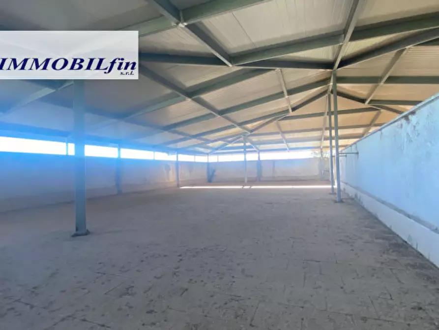 Immagine 34 di Villa in affitto  in via cristoforo colombo a Villabate