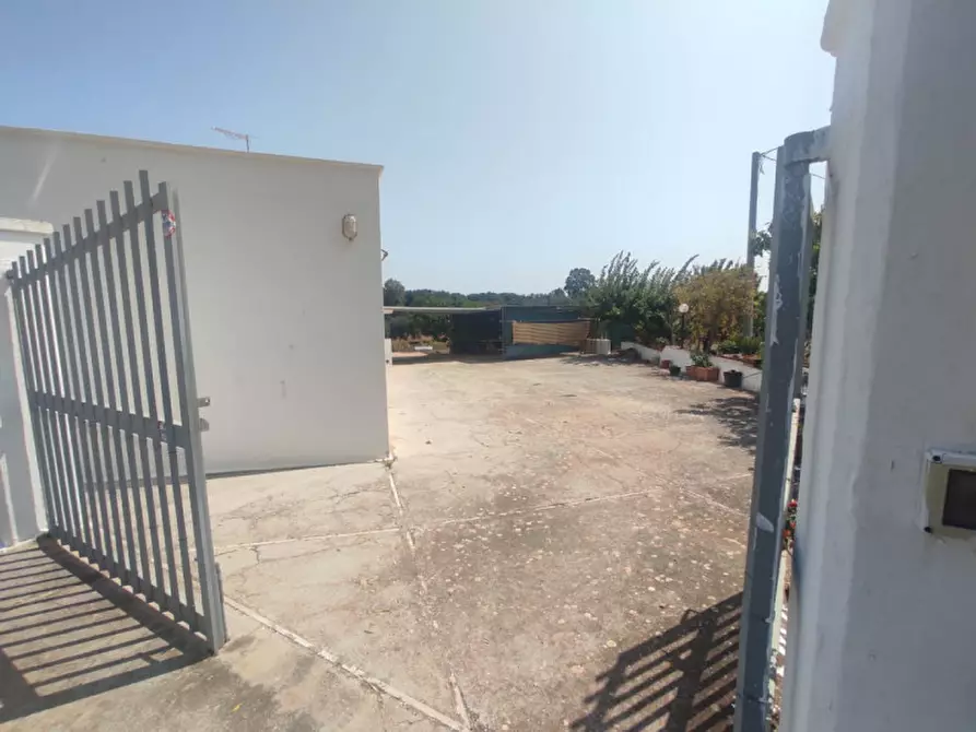 Immagine 3 di Rustico / casale in vendita  in C.da Palco Grande a Carovigno