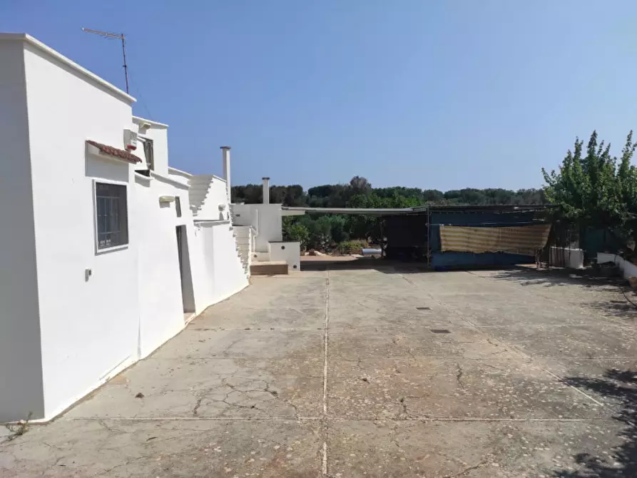 Immagine 4 di Rustico / casale in vendita  in C.da Palco Grande a Carovigno