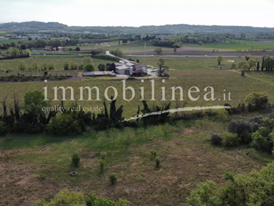 Immagine 5 di Agriturismo in vendita  in LOCALITA' BOSCON Piano T-1 - 2 a Lazise