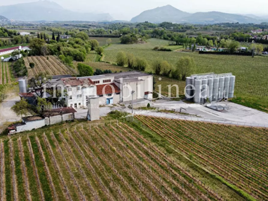 Immagine 6 di Agriturismo in vendita  in LOCALITA' BOSCON Piano T-1 - 2 a Lazise