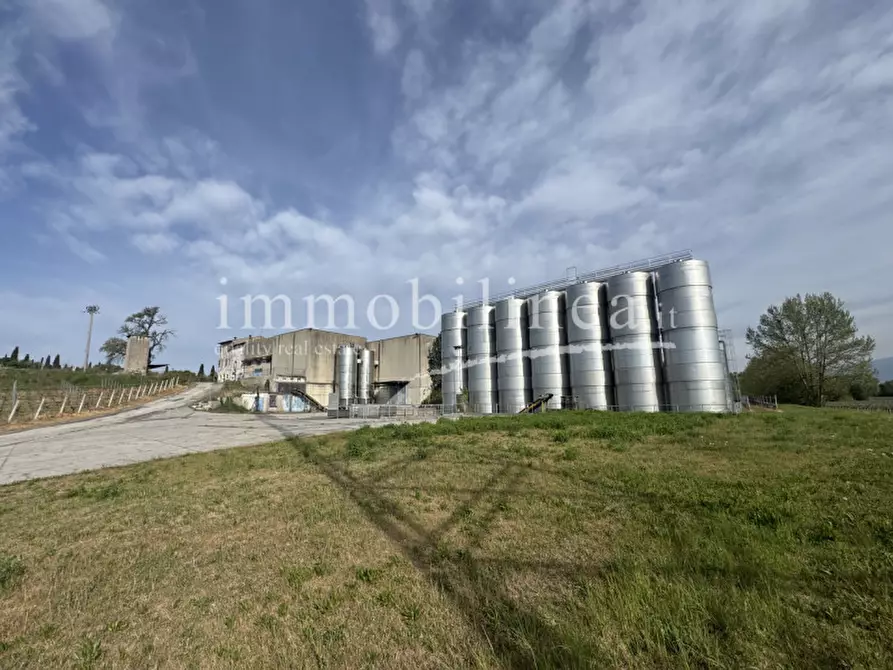 Immagine 10 di Agriturismo in vendita  in LOCALITA' BOSCON Piano T-1 - 2 a Lazise