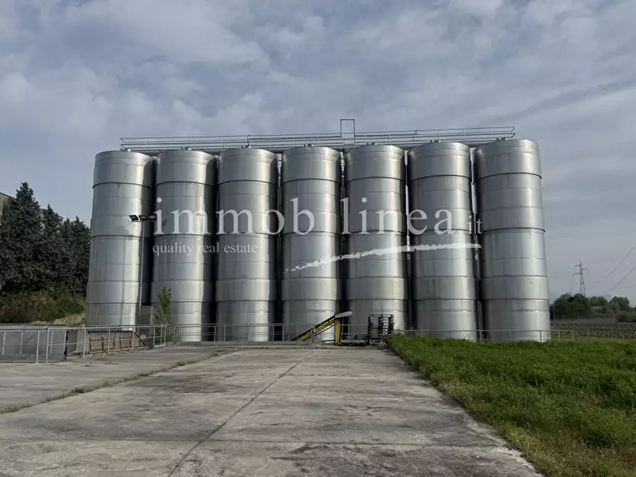 Immagine 11 di Agriturismo in vendita  in LOCALITA' BOSCON Piano T-1 - 2 a Lazise