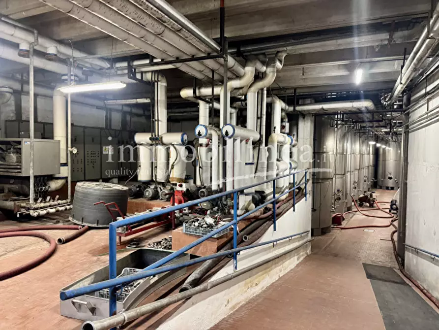 Immagine 13 di Agriturismo in vendita  in LOCALITA' BOSCON Piano T-1 - 2 a Lazise