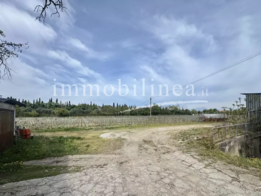 Immagine 18 di Agriturismo in vendita  in LOCALITA' BOSCON Piano T-1 - 2 a Lazise