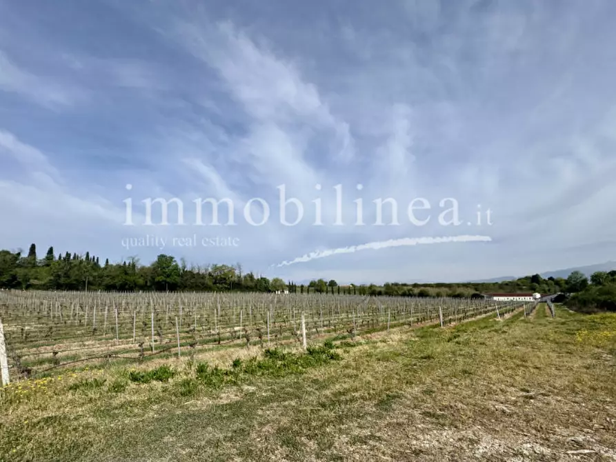 Immagine 20 di Agriturismo in vendita  in LOCALITA' BOSCON Piano T-1 - 2 a Lazise