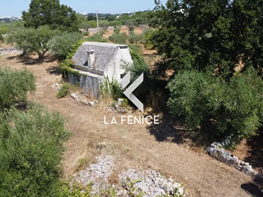 Immagine 4 di Rustico / casale in vendita  in contrada sisto a Locorotondo