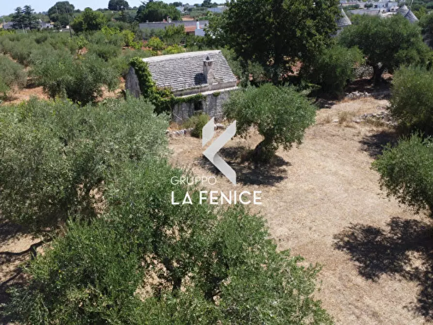 Immagine 6 di Rustico / casale in vendita  in contrada sisto a Locorotondo