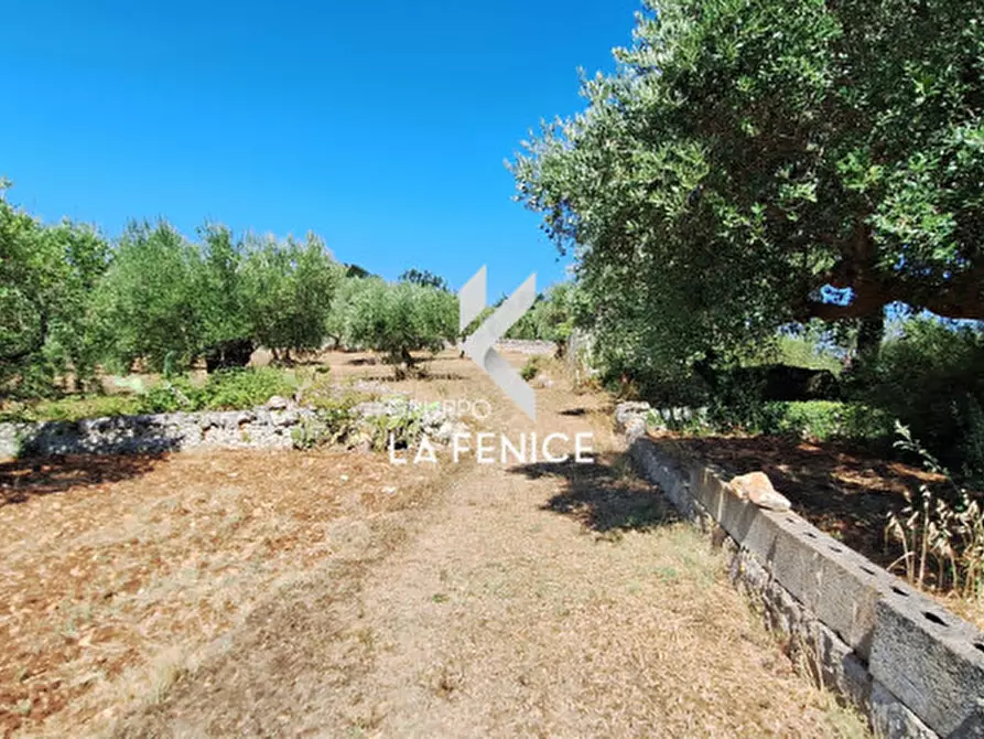 Immagine 14 di Rustico / casale in vendita  in contrada sisto a Locorotondo