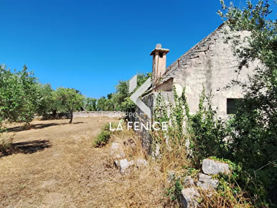 Immagine 18 di Rustico / casale in vendita  in contrada sisto a Locorotondo