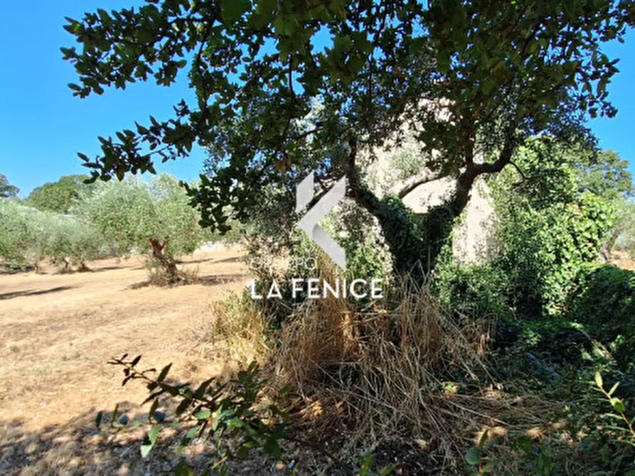 Immagine 21 di Rustico / casale in vendita  in contrada sisto a Locorotondo